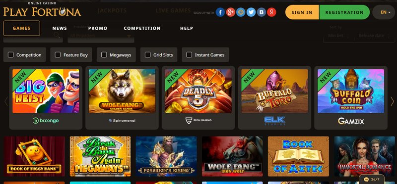 What Is Fortunica Casino?